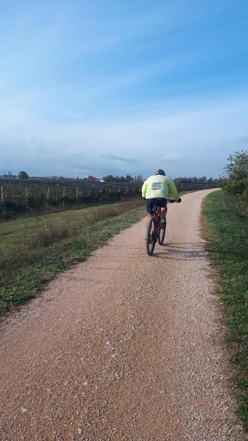Sulla Ciclabile Apartment Lungo Il Fiume Adige Zevio ภายนอก รูปภาพ