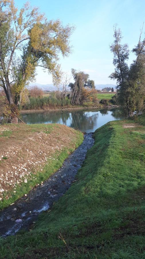 Sulla Ciclabile Apartment Lungo Il Fiume Adige Zevio ภายนอก รูปภาพ