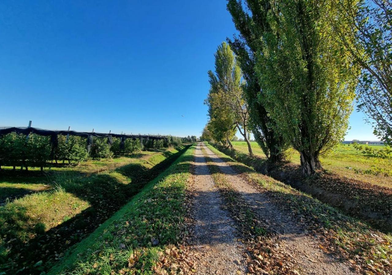 Sulla Ciclabile Apartment Lungo Il Fiume Adige Zevio ภายนอก รูปภาพ