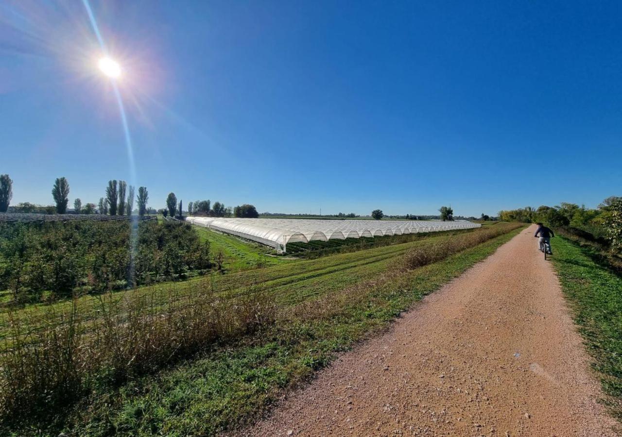 Sulla Ciclabile Apartment Lungo Il Fiume Adige Zevio ภายนอก รูปภาพ