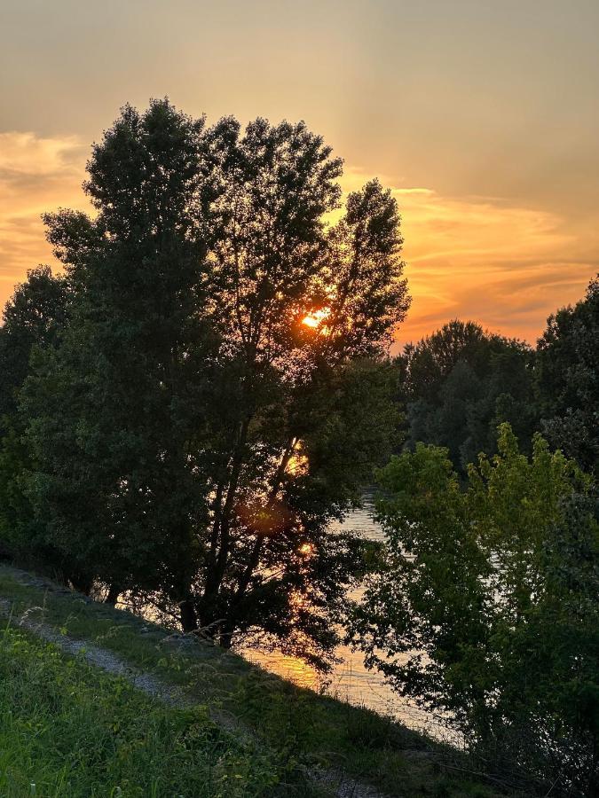 Sulla Ciclabile Apartment Lungo Il Fiume Adige Zevio ภายนอก รูปภาพ